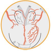 TissueSealAp3 TissueSealAp3